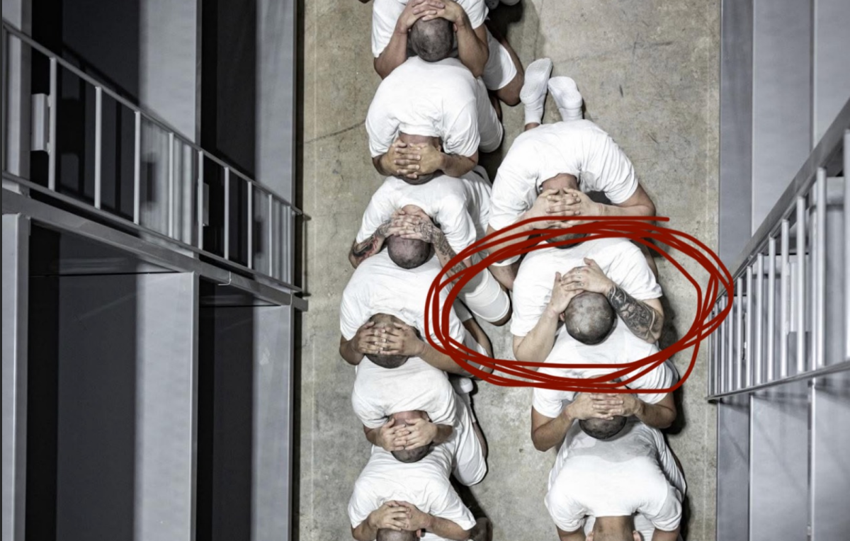 Photo of Kilmar Garcia in line with other detainees at the CECOT. His wife was able to identify him by the tattoo on his forearm.